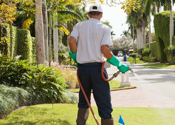 About Temple GA Pest Control Pros